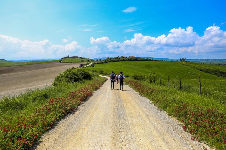 Podere Il Granaio - Crete Senesi - Tuscany Сиена Экстерьер фото