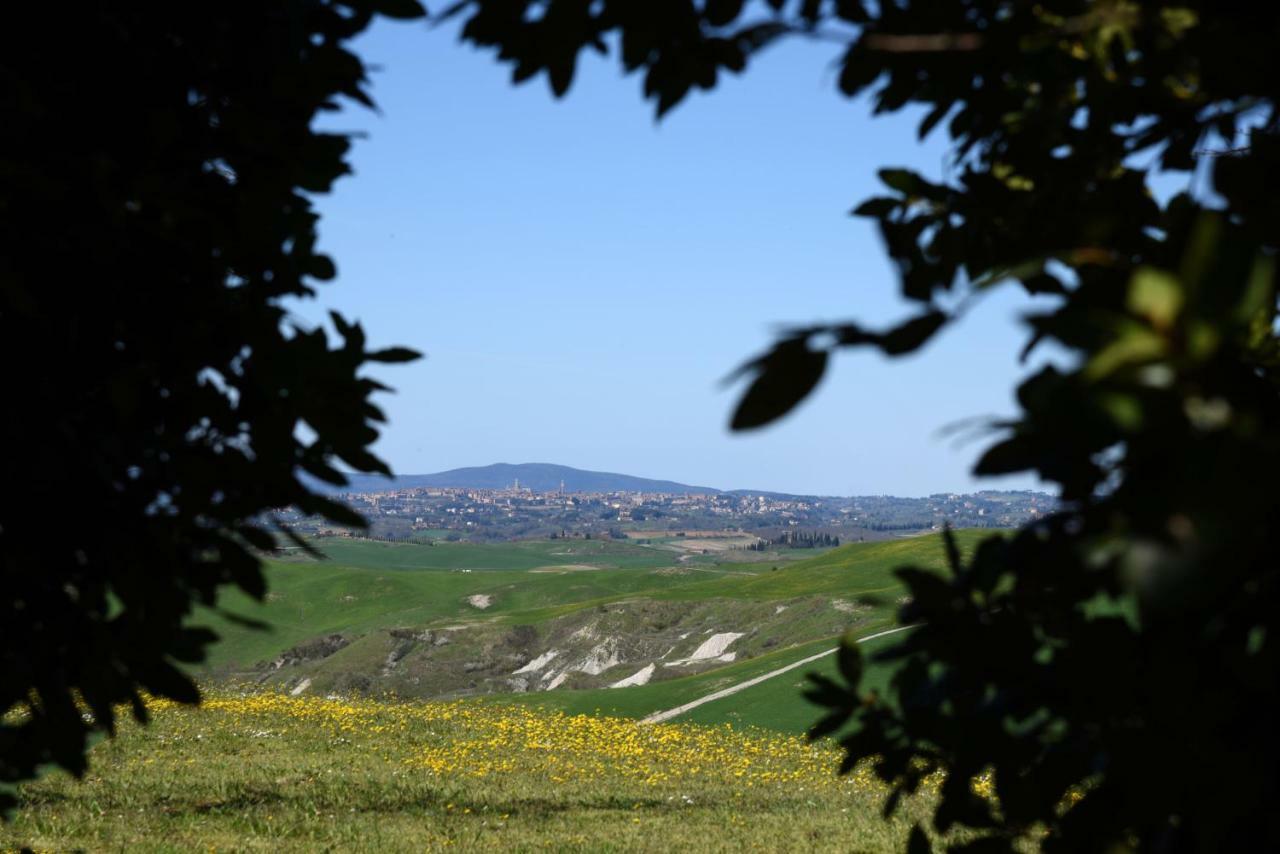 Podere Il Granaio - Crete Senesi - Tuscany Сиена Экстерьер фото