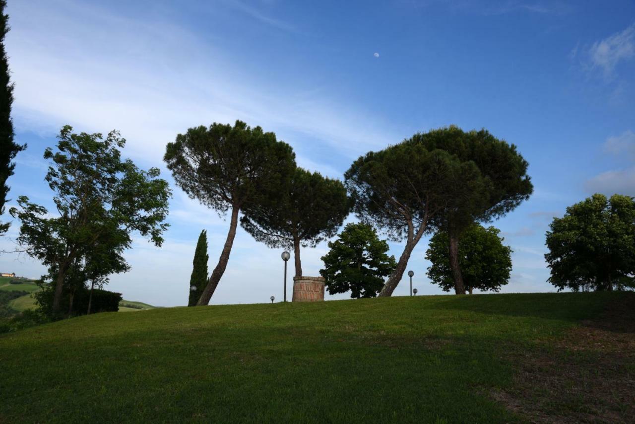 Podere Il Granaio - Crete Senesi - Tuscany Сиена Экстерьер фото